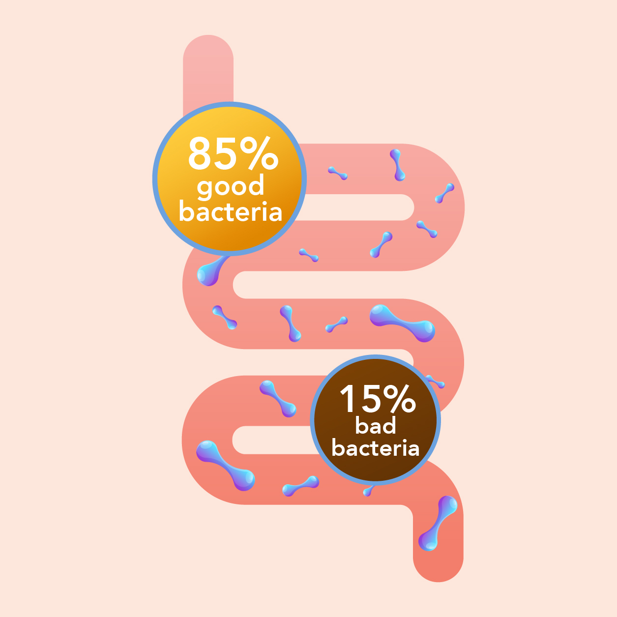Healthy Gut, Healthy You