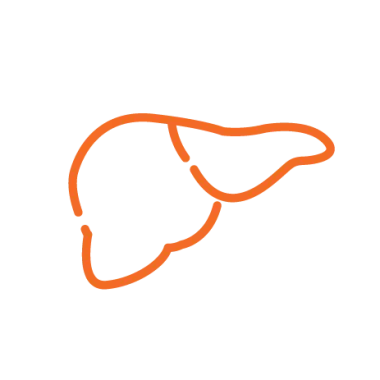 Liver & Digestion