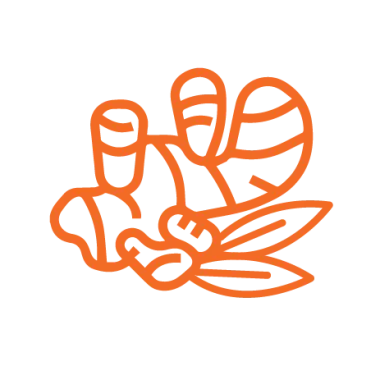Turmeric series