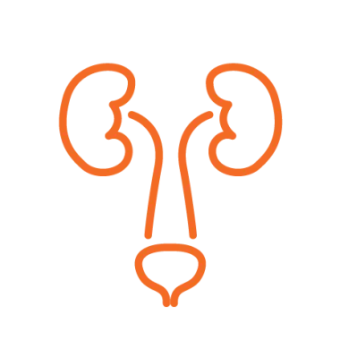 Urinary Health