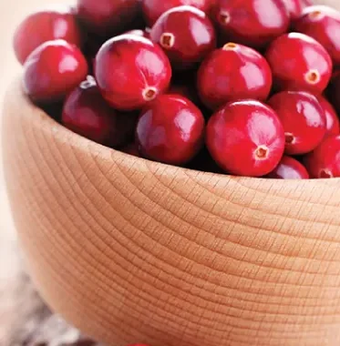 Little Warriors, Berry Bliss!