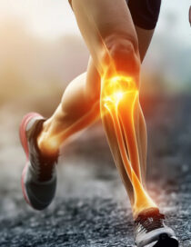 Work From Home Efficiently