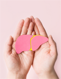 Why is Water So Important to Your Health?