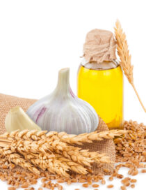 Little Warriors, Strong Immunity