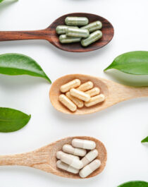 Health Begins in the Gut